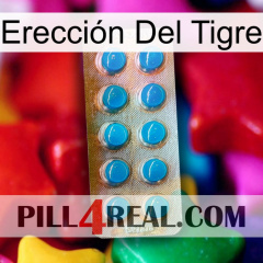 Erección Del Tigre new09